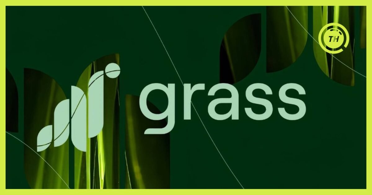Grass Airdrop Guide - TokenHunters