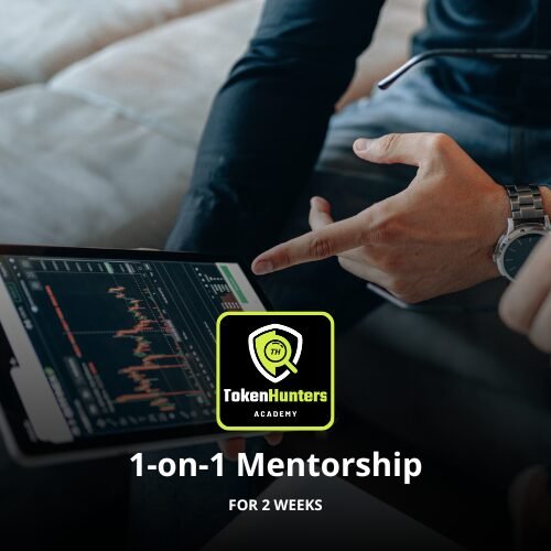 1-on-1 Mentorship