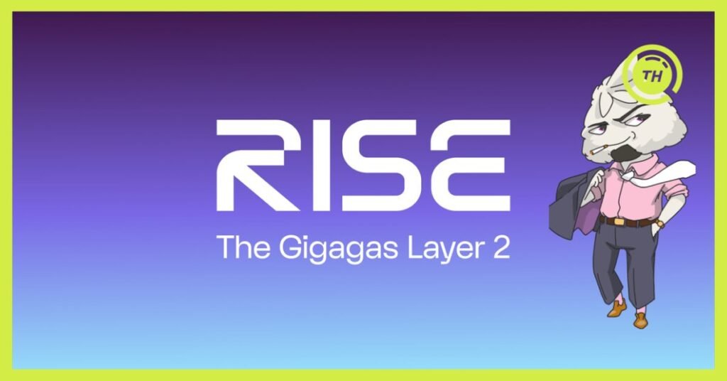 Rise Chain Airdrop Guide - TokenHunters Airdrop Aggregator