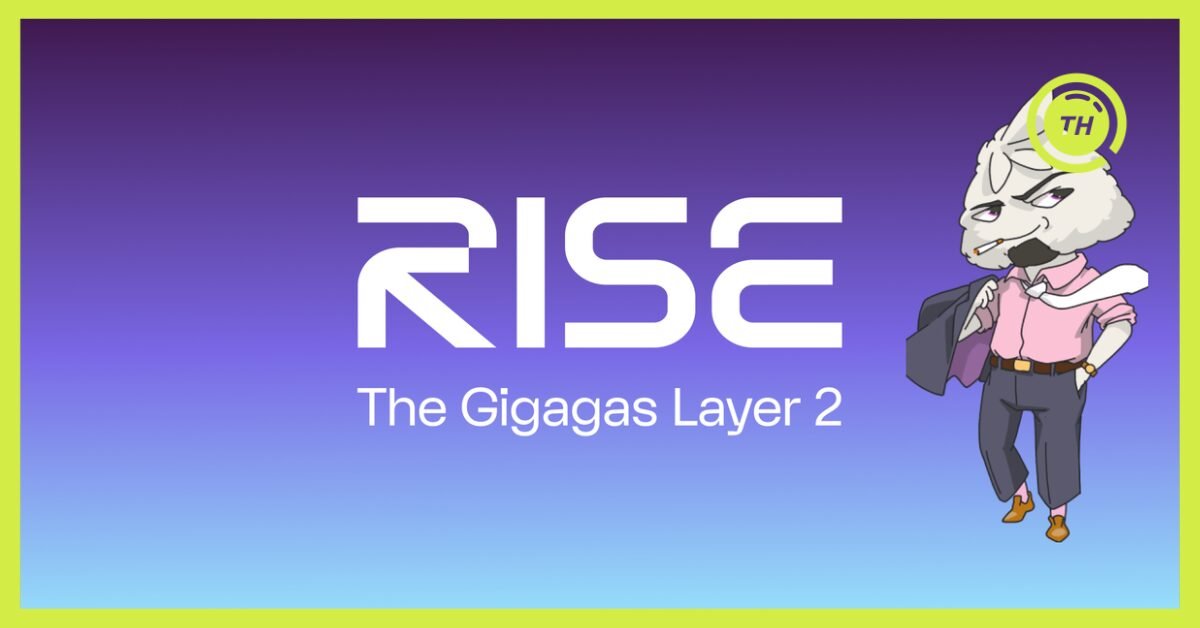 Rise Chain Airdrop Guide - TokenHunters Airdrop Aggregator